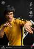Bruce Lee (Tribute : 50th Anniversary) 1/4 Superb Scale Statue - Thumbnail (5)