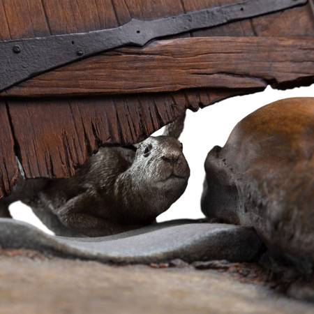  Radagast in Rhosgobel - 1