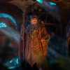  Radagast in Rhosgobel - Thumbnail (5)
