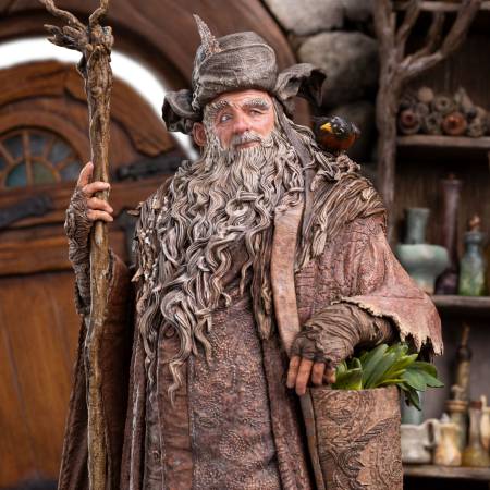  Radagast in Rhosgobel - 13