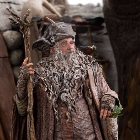  Radagast in Rhosgobel - 14